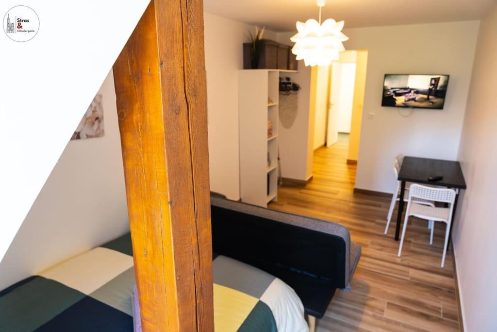 Appartement Studio Cosy Esplanade Straatsburg