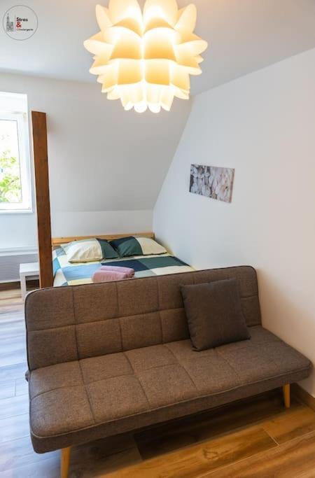 Appartement Studio Cosy Esplanade *
