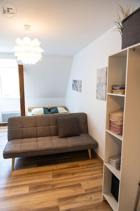Appartement Studio Cosy Esplanade
